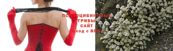 кокаин премиум Гусиноозёрск