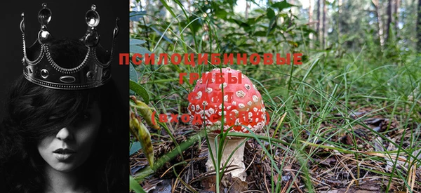 MDMA Premium VHQ Гусев