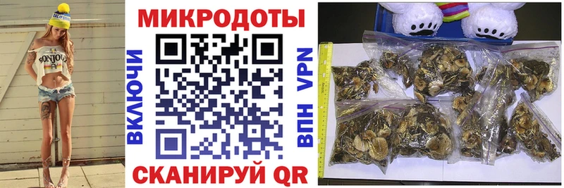 Псилоцибиновые грибы GOLDEN TEACHER  площадка телеграм  Хадыженск 